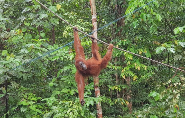 Sarawak’s Tip of Borneo | Borneo Bike Tour | Paradesa Borneo