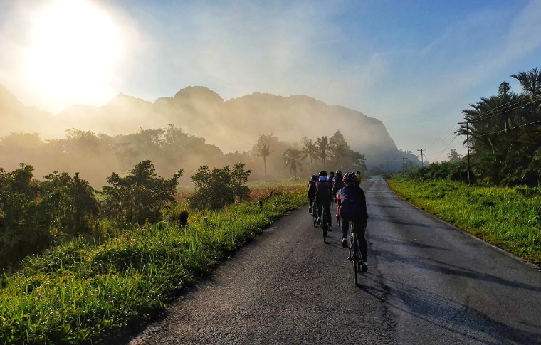 A group of cyclists ride in a line as the sun rises through the mist on this trans-Borneo cycling tour.