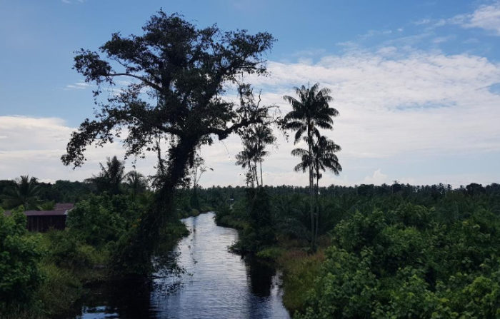 Paradesa Trans-Borneo Guided Road Bike Tour | Paradesa Borneo