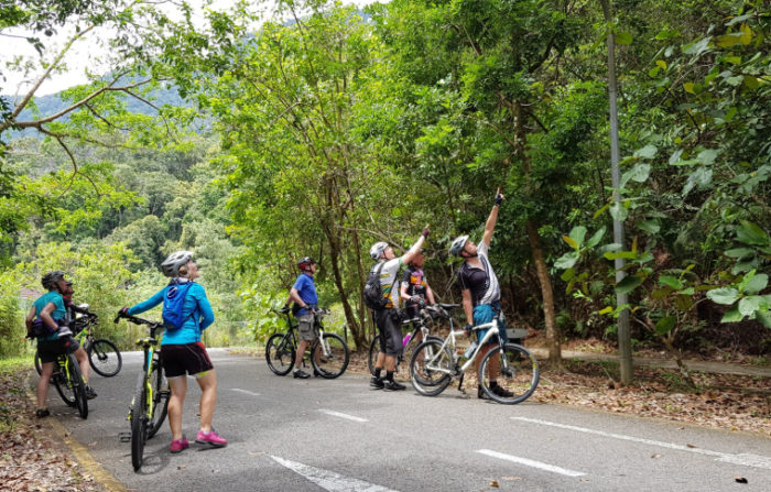 Paradesa Borneo Wildlife Cycling Tour in Sarawak | Paradesa Borneo