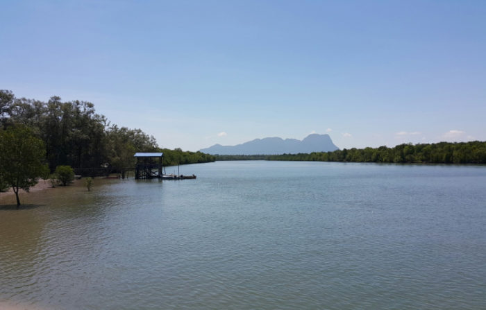 Paradesa Borneo Wildlife Cycling Tour in Sarawak | Paradesa Borneo