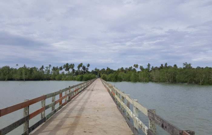 Paradesa Borneo Wildlife Cycling Tour in Sarawak | Paradesa Borneo
