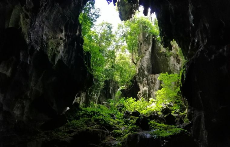 cave opening surrounded by lush vegetation