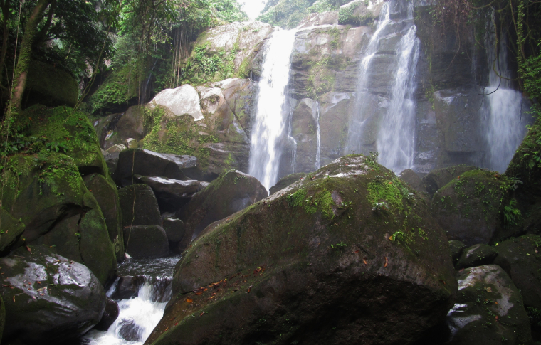 small waterfall in a Borneo jungle with large moss-covered rocks at the bottom