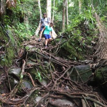 Borneo Wildlife Tour To The Bako National Park | Paradesa Borneo