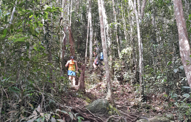 two young people jungle trekking in Malaysia
