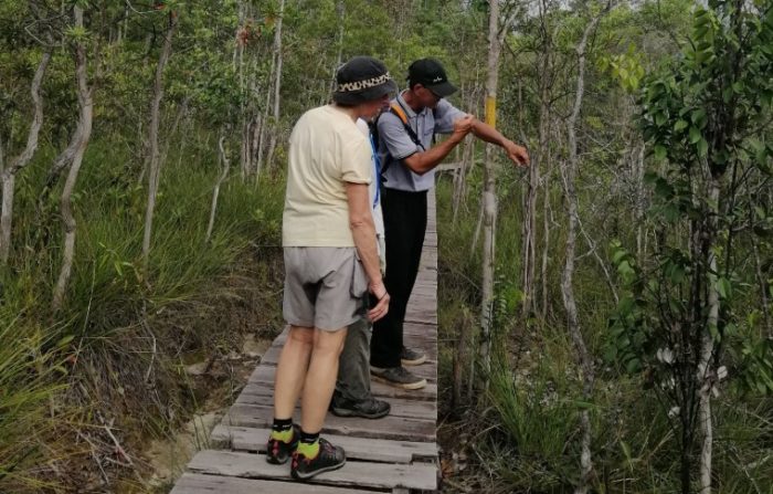 Paradesa Ultimate Sarawak 4-Day Adventure Tour | Paradesa Borneo