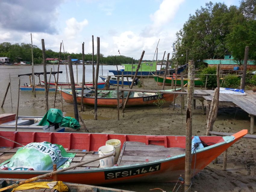 colorful boats at a river pier on a wildlife cruise in Borneo