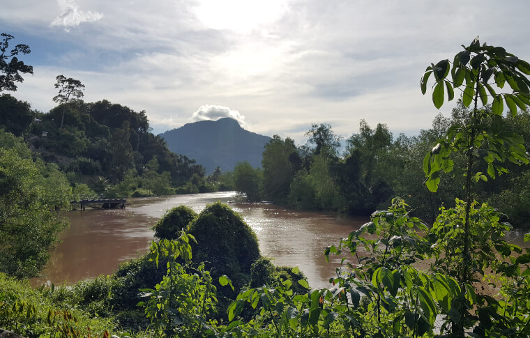 Stream flowing through lush tropical rainforest, Kubah National