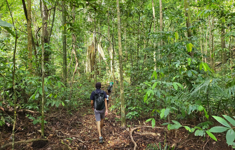 Tanjung Datu National Park: Boat In and Trek Out | Paradesa Borneo