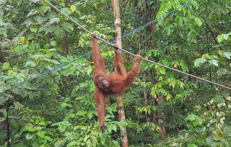 Paradesa 8-Day Classic Sarawak Tour | Paradesa Borneo