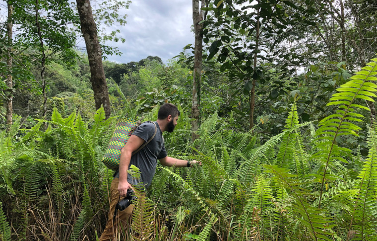 A man with a backpack in the jungle.
