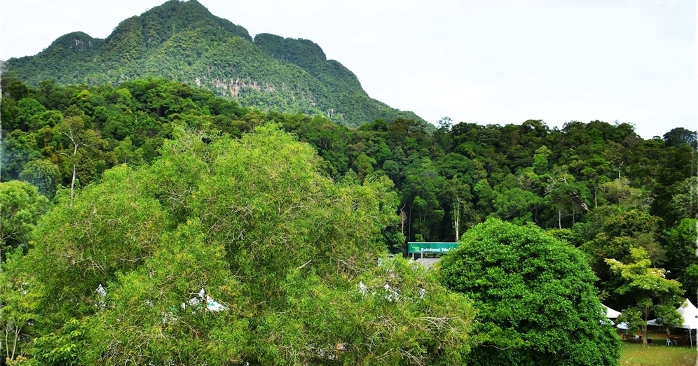 Mt. Santubong looms over the center of the rainforest world music festival for things to in kuching for events and festivals