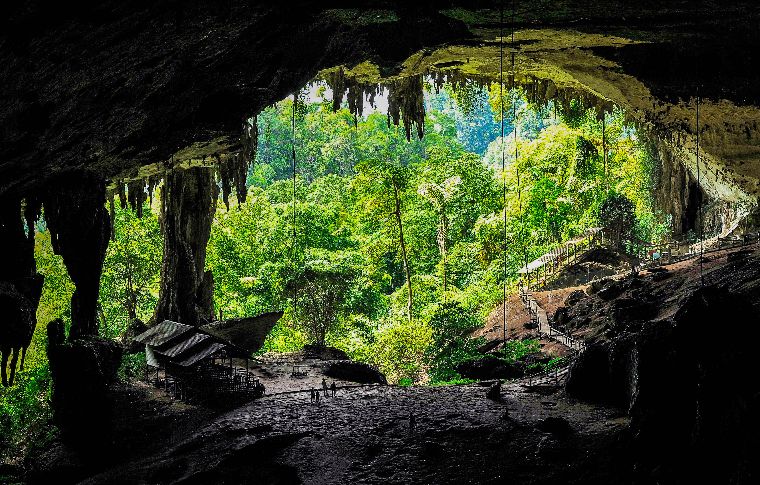 The mouth of the Great Cave, Niah National Park, against the backdrop of the jungle.