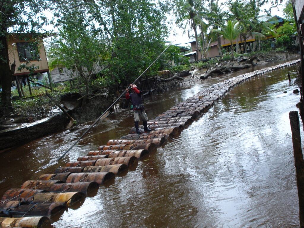 A man balancing on a train of floating sago logs guiding the logs down river to the processing factory.