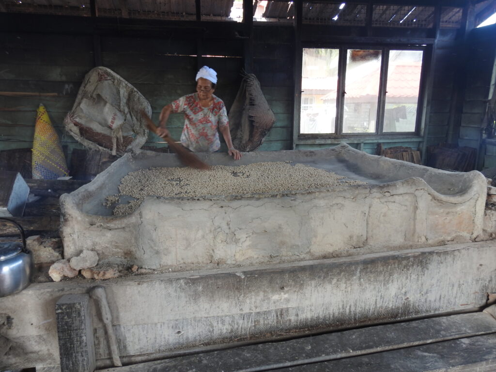 A Melanau woman distributing sago pellets on a open-fire griddle for even roasting.